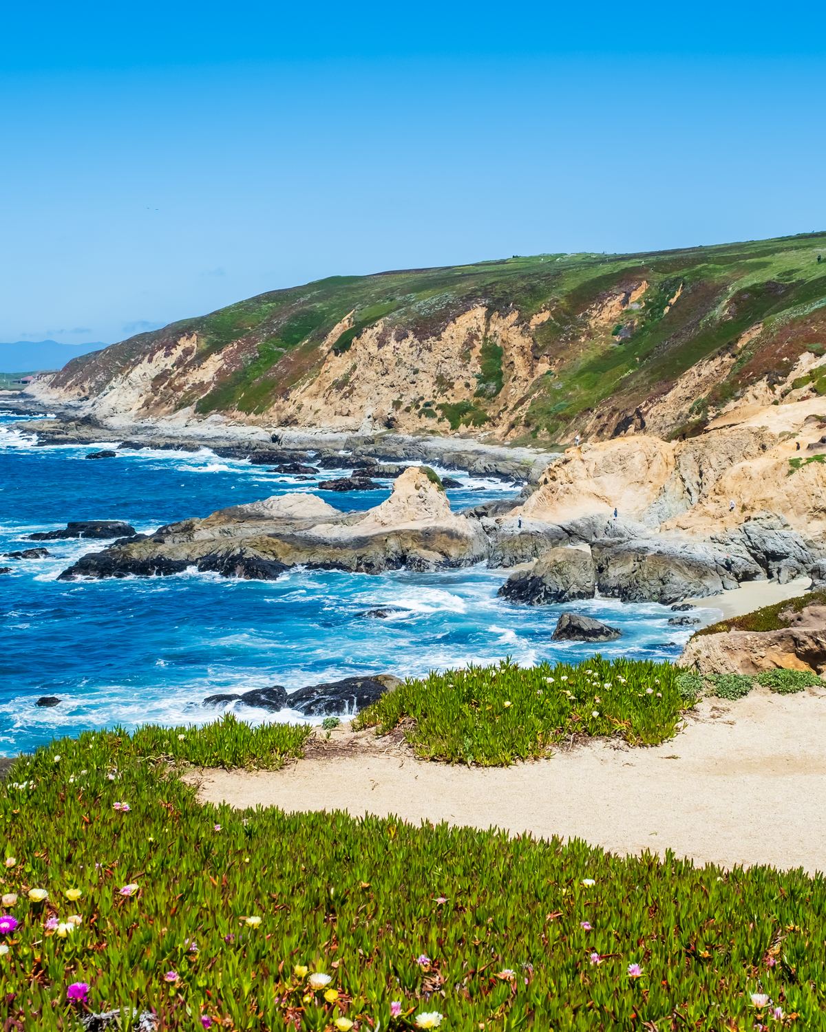 Bluffs and a cove on the Pacific at Bodega Bay
